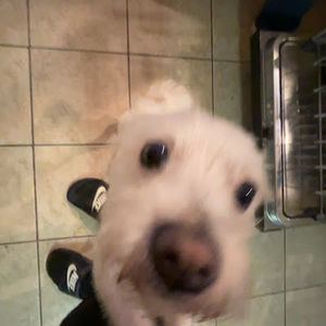 Meet your Posher, Aiden